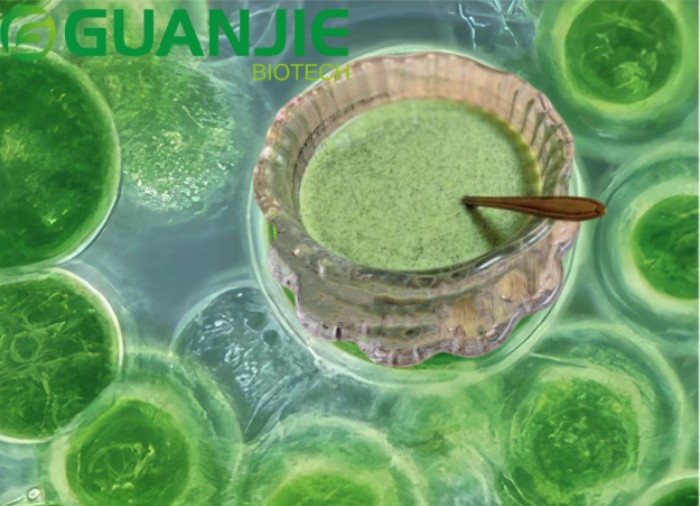 Natural chlorella SUPPLEMENT Natural chlorella SUPPLEMENT