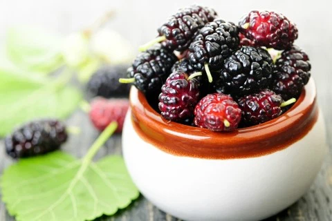 Bulk Mulberry Fruit Powder Bulk Mulberry Fruit Powder