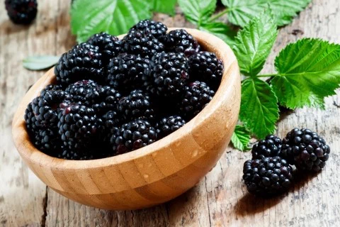 Mulberry Fruit Mulberry Fruit