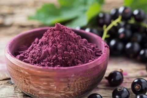 Bulk Blackcurrant Powder Bulk Blackcurrant Powder